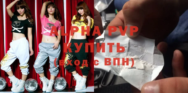 шишки Тавда