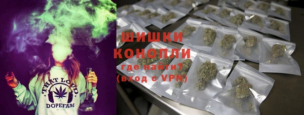 МДПВ Волоколамск