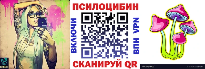 Галлюциногенные грибы Psilocybine cubensis  Карабулак 